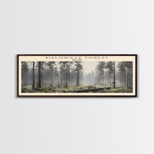Carregar imagem no visualizador da galeria, Bialowieza Forest Travel Poster Print, Framed Canvas Wall Art, Metal Wall Art, COUNTRY art, Gift For Him, Travel Wall Art, Travel Lover Gift
