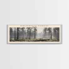 Carregar imagem no visualizador da galeria, Bialowieza Forest Travel Poster Print, Framed Canvas Wall Art, Metal Wall Art, COUNTRY art, Gift For Him, Travel Wall Art, Travel Lover Gift
