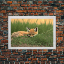 Carregar imagem no visualizador da galeria, Cute Sleeping fox Framed Canvas Wall Art, Canvas Print Decor for Home &amp; Office Decoration Canvas Ready to Hang
