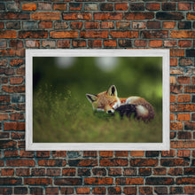 Cargar imagen en el visor de la galería, Cute Sleepy Fox Art, Animal Prints, Nature Art, Framed Canvas Print, Cute animal wall art, above sofa art
