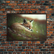 Load image into Gallery viewer, Cute Sleepy Fox Art, Animal Prints, Nature Art, Framed Canvas Print, Cute animal wall art, above sofa art
