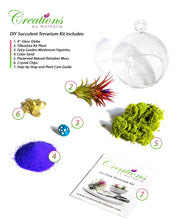 Load image into Gallery viewer, 4&quot; Glass Globe Air Plant Terrarium Kit
