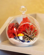 Load image into Gallery viewer, 4&quot; Glass Globe Air Plant Terrarium Kit
