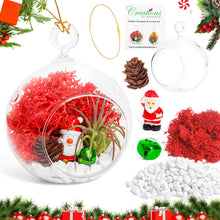 Load image into Gallery viewer, 4&quot; Glass Globe Holiday Ornament Terrarium Kit
