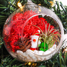 Load image into Gallery viewer, 4&quot; Glass Globe Holiday Ornament Terrarium Kit
