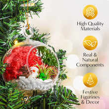 Load image into Gallery viewer, 4&quot; Glass Globe Holiday Ornament Terrarium Kit
