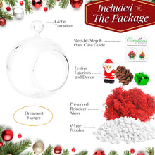 Load image into Gallery viewer, 4&quot; Glass Globe Holiday Ornament Terrarium Kit
