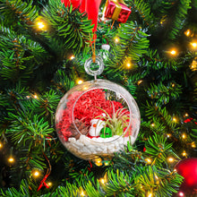 Load image into Gallery viewer, 4&quot; Glass Globe Holiday Ornament Terrarium Kit
