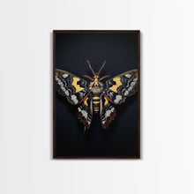 Load image into Gallery viewer, Framed Death Head Moth Canvas Print, Acherontia, Taxidermy Art, Dried Butterfly Print, Bug Wall Art Hanging Decor, Goth Art, Halloween Art

