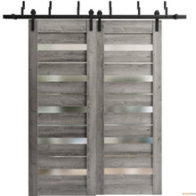 Load image into Gallery viewer, Quadro 4445 Nebraska Grey Double Barn Door with Frosted Glass and Black Bypass Rail
