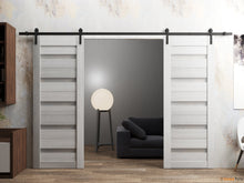 Load image into Gallery viewer, Quadro 4445 Light Grey Oak Double Barn Door with Frosted Glass and Black Rail
