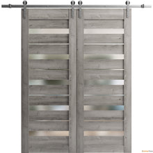 Load image into Gallery viewer, Quadro 4445 Nebraska Grey Double Barn Door with Frosted Glass and Silver Rail
