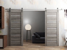 Load image into Gallery viewer, Quadro 4445 Nebraska Grey Double Barn Door with Frosted Glass and Silver Rail
