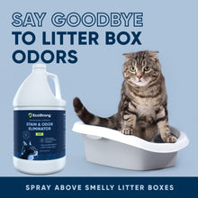 Carregar imagem no visualizador da galeria, Cat Stain and Odor Eliminator
