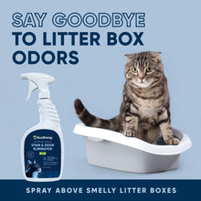 Carregar imagem no visualizador da galeria, Cat Stain and Odor Eliminator
