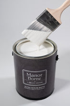 Load image into Gallery viewer, Boggle Buddies - Manor Borne Wall Paint
