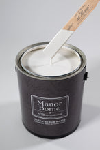 Load image into Gallery viewer, Boggle Buddies - Manor Borne Wall Paint
