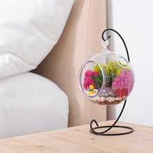 Load image into Gallery viewer, 5&quot; Acrylic Globe Succulent Terrarium Kit (Kid Friendly)
