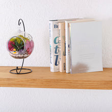 Load image into Gallery viewer, 5&quot; Acrylic Globe Succulent Terrarium Kit (Kid Friendly)
