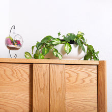Load image into Gallery viewer, 5&quot; Acrylic Globe Succulent Terrarium Kit (Kid Friendly)
