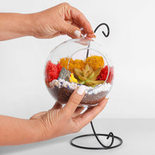 Carregar imagem no visualizador da galeria, 5&quot; Glass Globe Succulent Terrarium Kit
