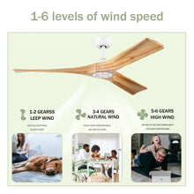 Carregar imagem no visualizador da galeria, 52” Ceiling Fan with Remote, Reversible DC Motor, 3 Wood Blades
