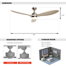 Cargar imagen en el visor de la galería, 56&quot; Bernardino Modern Brushed Nickel DC Motor Downrod Mount Reversible Ceiling Fan with Lighting and Remote Control
