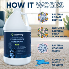 Load image into Gallery viewer, Dog Stain and Odor Eliminator
