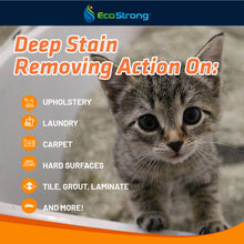 Load image into Gallery viewer, Cat Stain and Odor Eliminator
