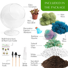 Carregar imagem no visualizador da galeria, 6&quot; Glass Chalice Succulent Terrarium Kit
