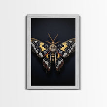 Load image into Gallery viewer, Framed Death Head Moth Canvas Print, Acherontia, Taxidermy Art, Dried Butterfly Print, Bug Wall Art Hanging Decor, Goth Art, Halloween Art
