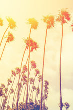 Load image into Gallery viewer, Retro California Sunset Palmtree Wall Mural #6050
