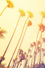 Load image into Gallery viewer, Retro California Sunset Palmtree Wall Mural #6050
