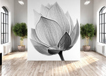 Carregar imagem no visualizador da galeria, Black and White Lotus Flower Wall Mural #6116
