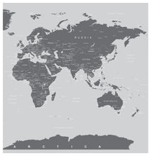 Cargar imagen en el visor de la galería, World Map Wall Mural (Grey). #6133
