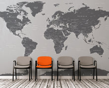 Load image into Gallery viewer, World Map Wall Mural (Grey). #6133
