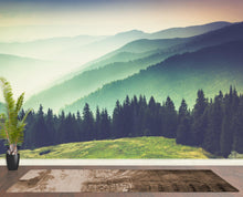 Load image into Gallery viewer, Colorful Foggy Mountain Forest View Wall Mural | Peel and Stick Wallpaper. #6159
