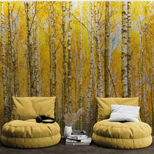 Load image into Gallery viewer, Autumn Scenic Birch Tree Forest Wall Mural | Peel and Stick Wallpaper. #6202
