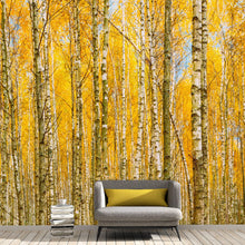 Cargar imagen en el visor de la galería, Autumn Scenic Birch Tree Forest Wall Mural | Peel and Stick Wallpaper. #6202
