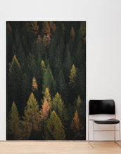 Cargar imagen en el visor de la galería, Enchanted Forest Tree Woodland Peel and Stick Wallpaper | Removable Wall Mural #6203
