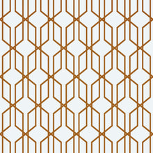 Carregar imagem no visualizador da galeria, Modern Geometric Shape 3D Hexagon Bronze Lines Peel and Stick Wallpaper | Removable Wall Mural #6213
