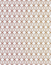 Carregar imagem no visualizador da galeria, Modern Geometric Shape 3D Hexagon Bronze Lines Peel and Stick Wallpaper | Removable Wall Mural #6213
