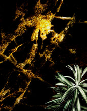 Load image into Gallery viewer, Black and Gold Abstract Marble Stone Peel and Stick Wall Mural. #6239
