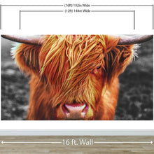 Cargar imagen en el visor de la galería, Highland Cow Cattle Head Wall Mural - Farmhouse Charm for Your Home. #6279
