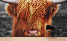 Cargar imagen en el visor de la galería, Highland Cow Cattle Head Wall Mural - Farmhouse Charm for Your Home. #6279
