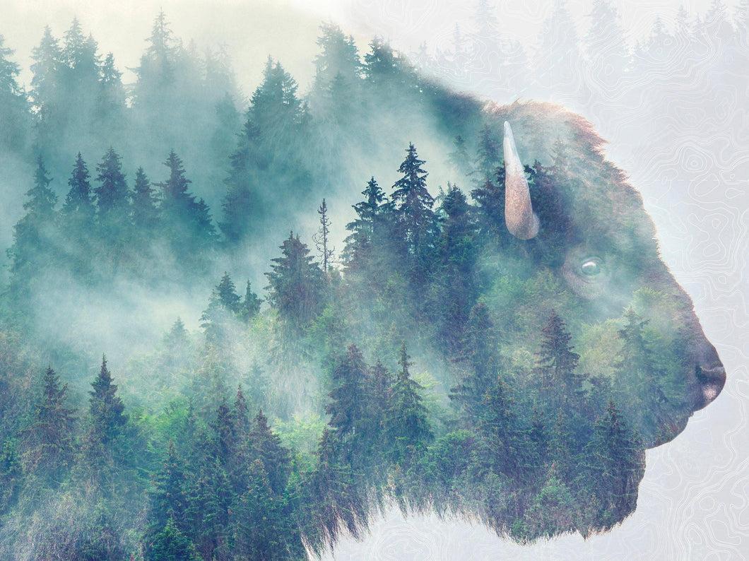 Foggy Mountain Forest View with Bison Buffalo Overlay Natural Scenery Wall Mural #6282.