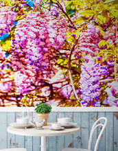 Load image into Gallery viewer, Colorful Purple Wisteria Flower Wall Mural. Peel and Stick Wallpaper. #6307
