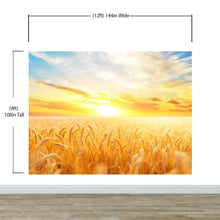 Load image into Gallery viewer, Sunset Sunrise over Farmland Wheat Field Wall Mural. Peel and Stick Wall Paper. #6323
