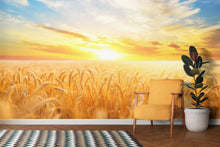 Carregar imagem no visualizador da galeria, Sunset Sunrise over Farmland Wheat Field Wall Mural. Peel and Stick Wall Paper. #6323
