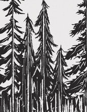 Carregar imagem no visualizador da galeria, Forest Trees Trunks Grunge Illustration Wall Mural. Peel and Stick Wallpaper. Abstract Lines Silhouette Outdoors Scenery. #6345

